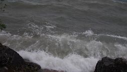 P5112566 null