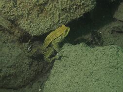P4170239 null