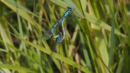 P7160166 null