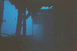 204 null