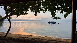 20251015_181814 null