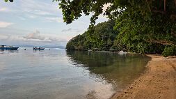 20251015_181911 null