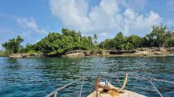 20251023_083144 null