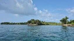 20251023_083148 null