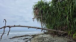 20251023_160112 null