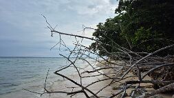 20251023_163037 null