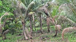 20251025_165023 null