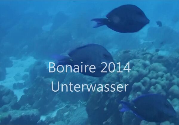 2014 Bonaire