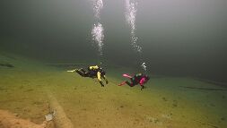P9270178 null